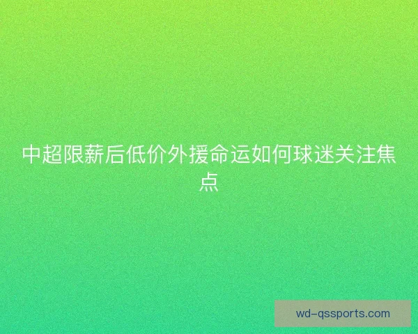 中超限薪后低价外援命运如何球迷关注焦点